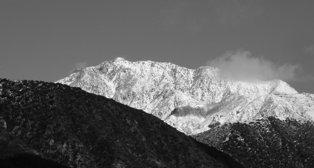 Editorial to the first volume of the Environmental Rights&nbsp;Review